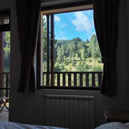 за гости куцеви *